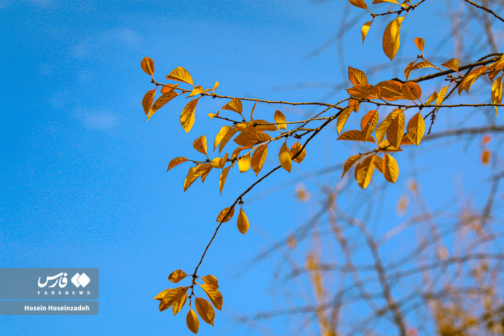 اردبیل زیر چتر رنگ‌ها