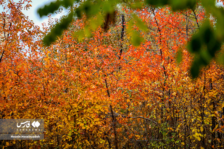 اردبیل زیر چتر رنگ‌ها