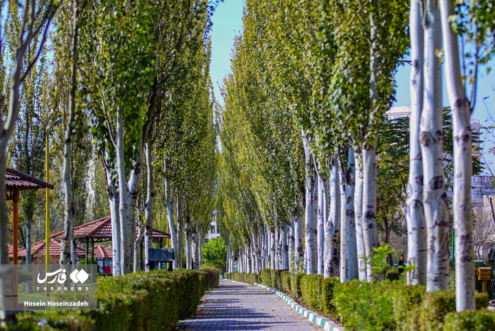 اردبیل زیر چتر رنگ‌ها