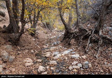طبیعت پاییزی دره خان ارومیه