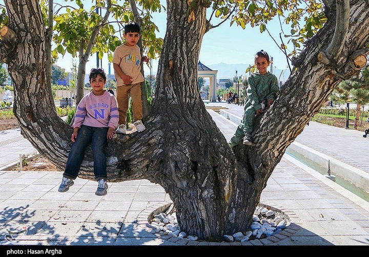 سبزه میدان؛ نماد شکوه و اصالت زنجان