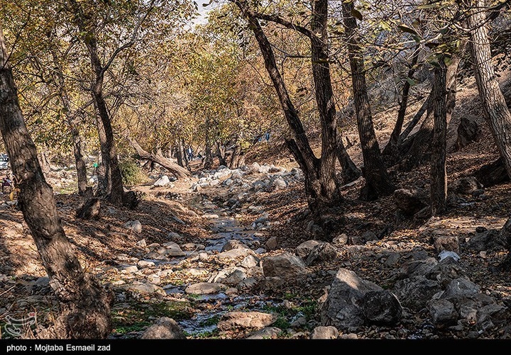 طبیعت پاییزی دره خان ارومیه