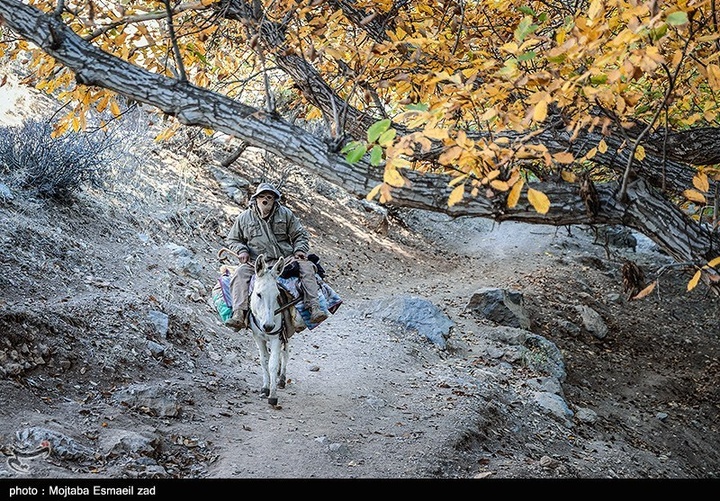 طبیعت پاییزی دره خان ارومیه