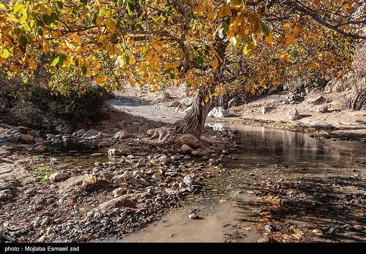 طبیعت پاییزی دره خان ارومیه