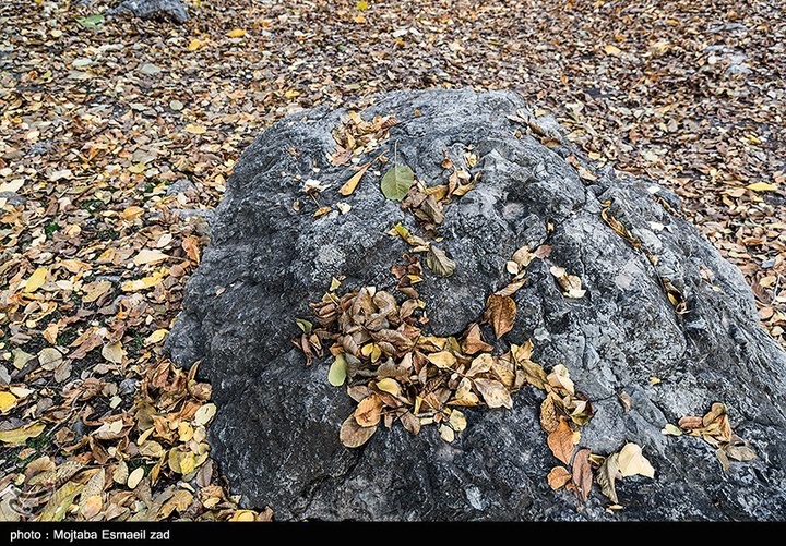 طبیعت پاییزی دره خان ارومیه