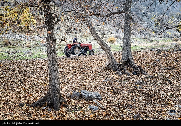 طبیعت پاییزی دره خان ارومیه