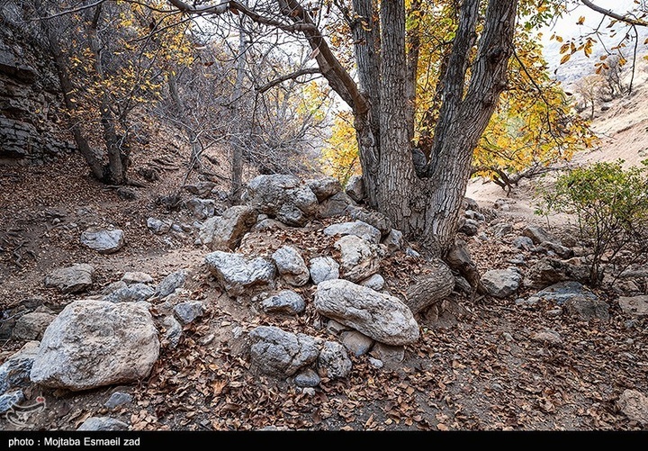 طبیعت پاییزی دره خان ارومیه