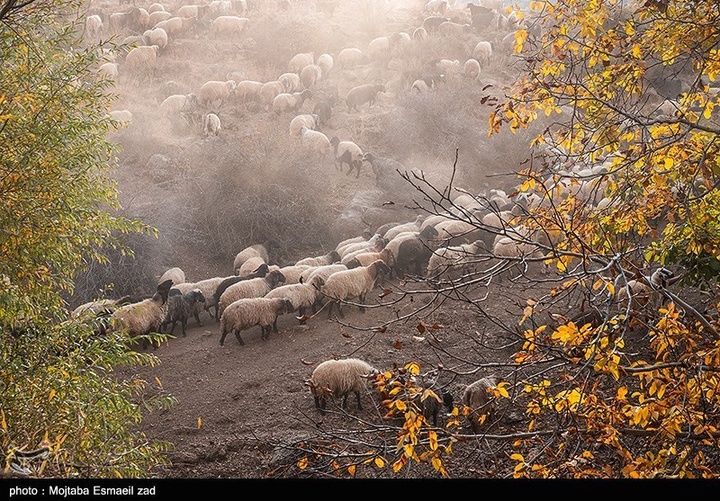 طبیعت پاییزی دره خان ارومیه