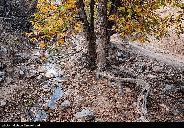 طبیعت پاییزی دره خان ارومیه