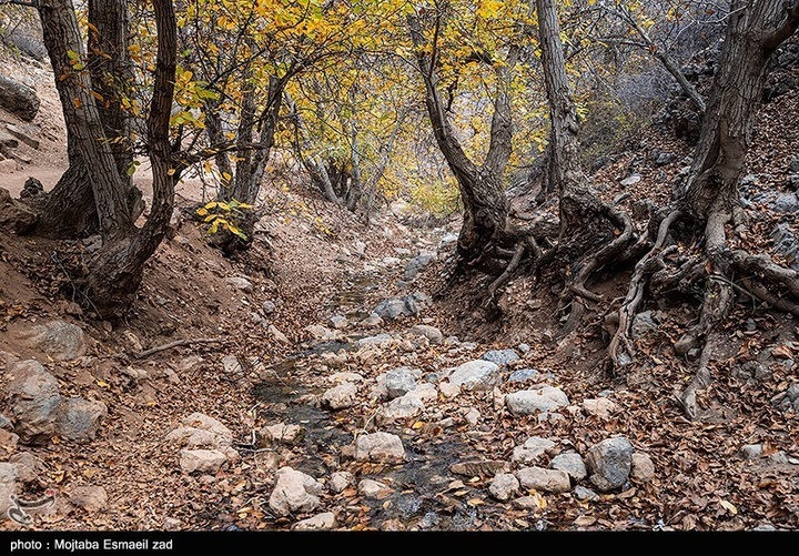 طبیعت پاییزی دره خان ارومیه
