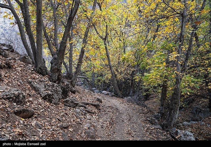 طبیعت پاییزی دره خان ارومیه