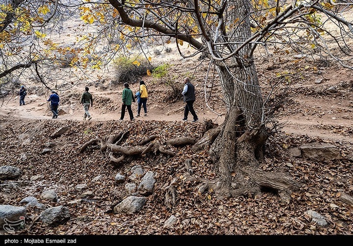طبیعت پاییزی دره خان ارومیه