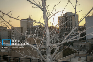 پاییز بی‌رنگ پایتخت