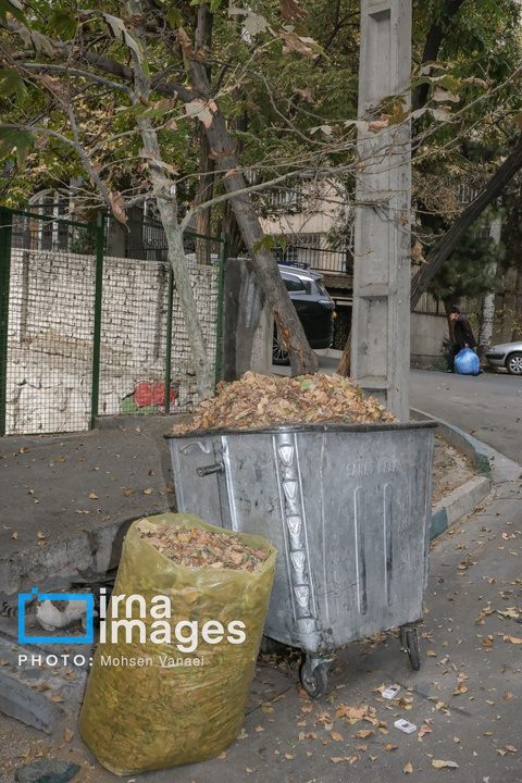 پاییز بی‌رنگ پایتخت