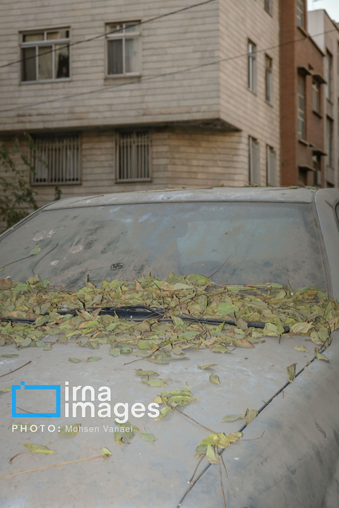 پاییز بی‌رنگ پایتخت