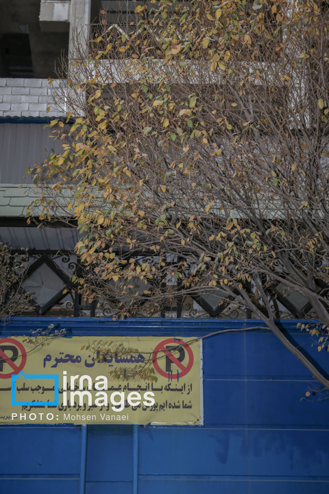 پاییز بی‌رنگ پایتخت