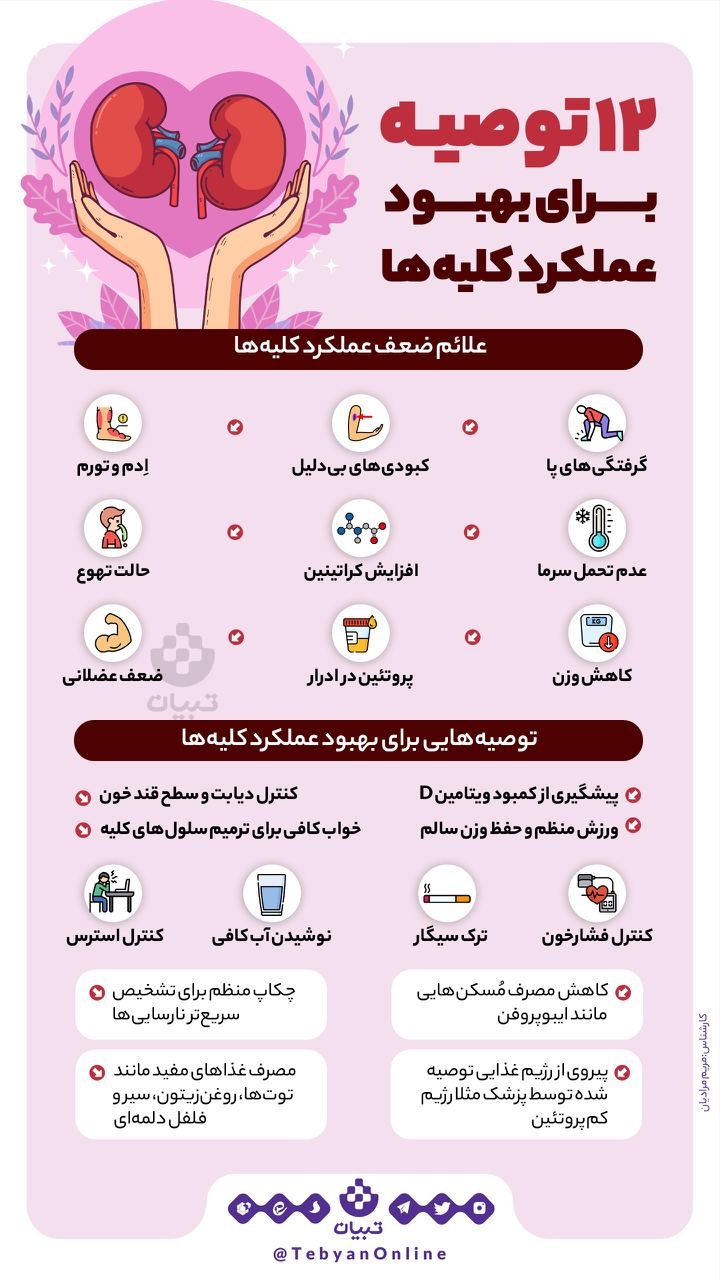 توصیه‌هایی برای بهبود عملکرد کلیه‌ها