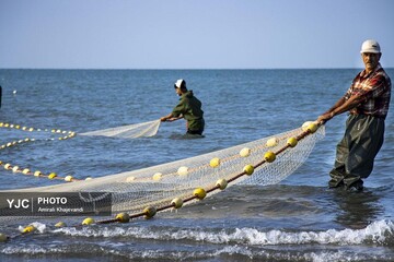 صید ماهی در مازندران