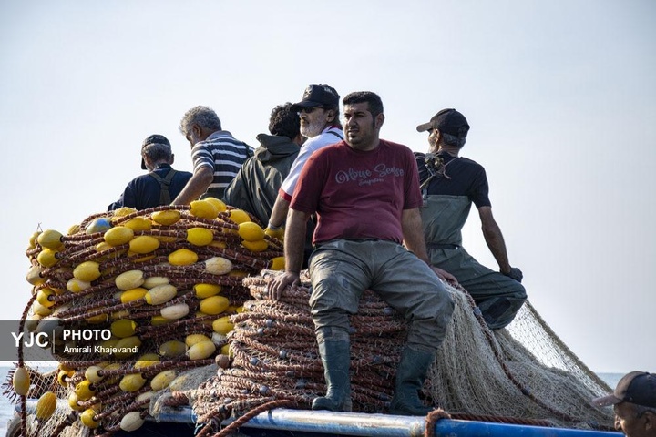 صید ماهی در مازندران