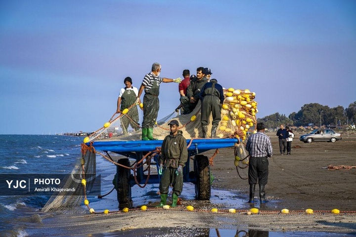 صید ماهی در مازندران