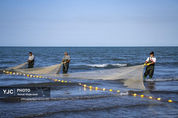 صید ماهی در مازندران