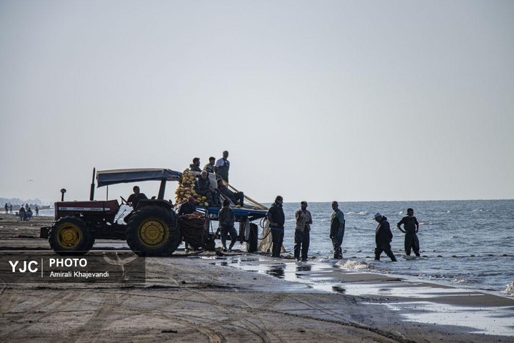 صید ماهی در مازندران