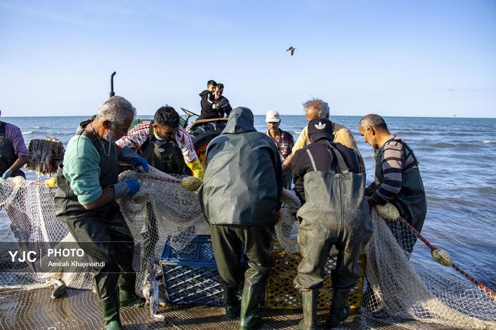 صید ماهی در مازندران