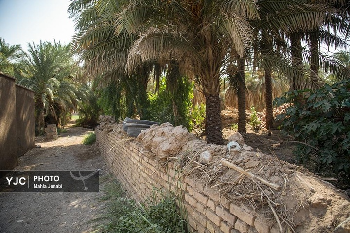 روستای شفیع آباد در استان کرمان روستای برتر سال ۲۰۲۵