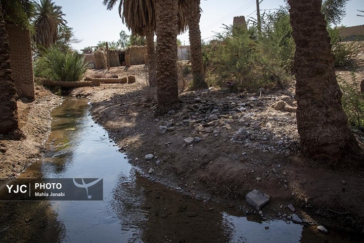 روستای شفیع آباد در استان کرمان روستای برتر سال ۲۰۲۵