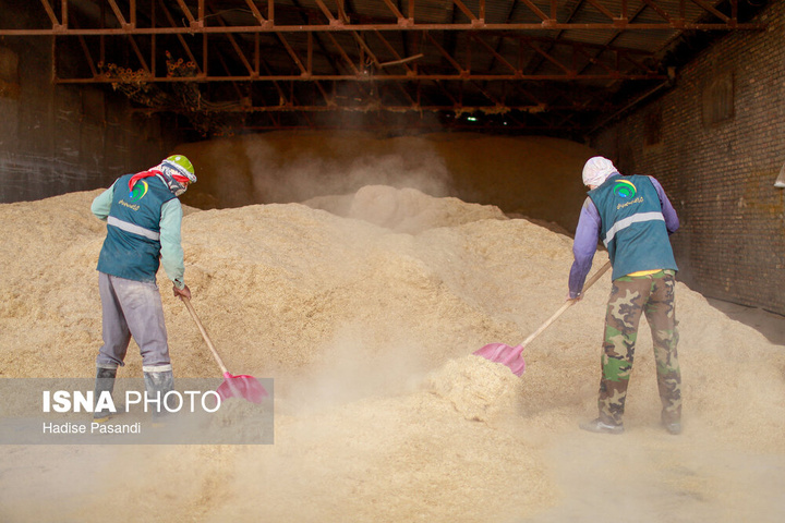 مزرعه دامپروری چپرقویمه - گنبد