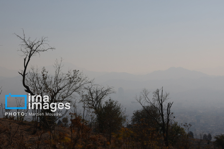 هوای نارنجی تهران