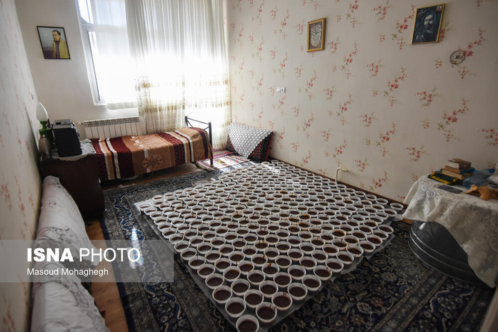 سنت خانگی نذر سمنوپزان - سمنان