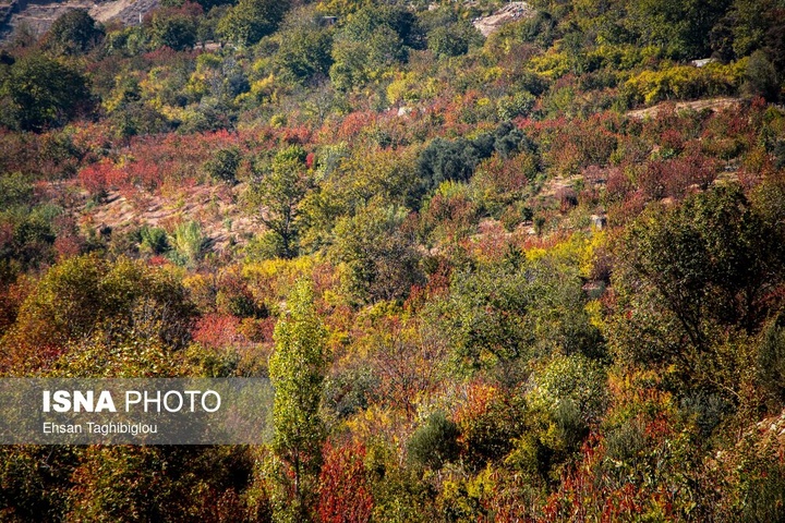 پاییزِ هزاررنگ در روستای شیت - طارم