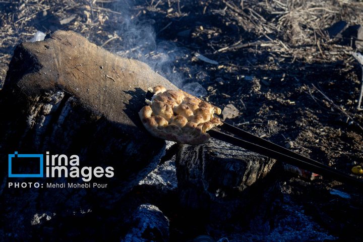 مهار آتش‌سوزی جنگل الیت