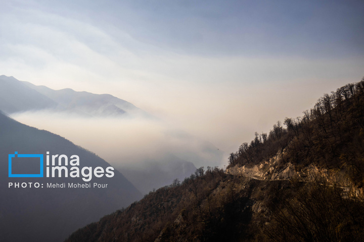 مهار آتش‌سوزی جنگل الیت