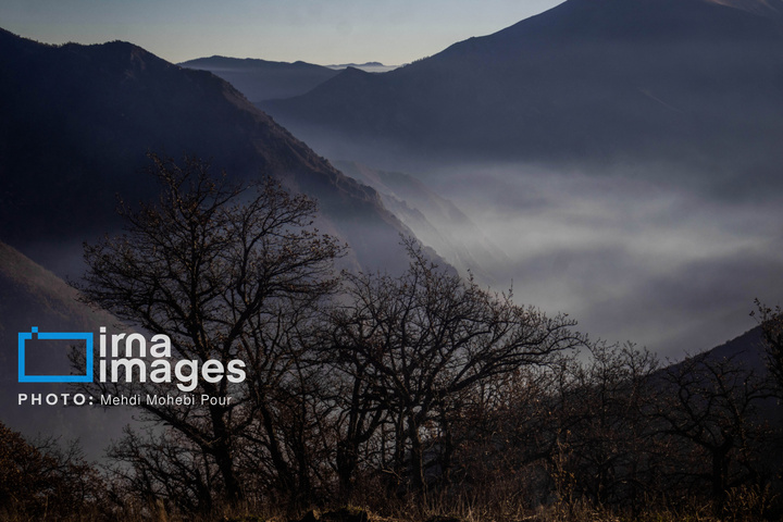 مهار آتش‌سوزی جنگل الیت