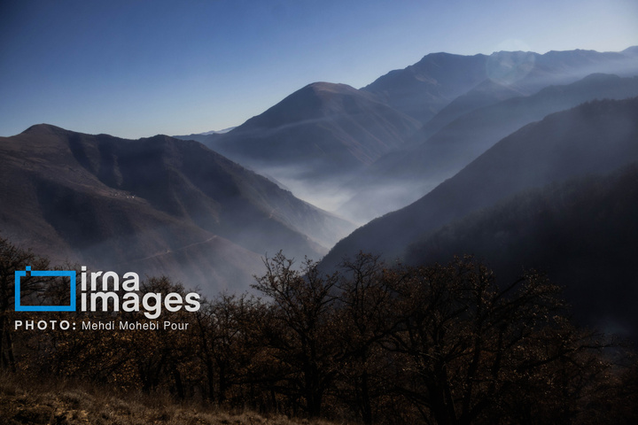 مهار آتش‌سوزی جنگل الیت