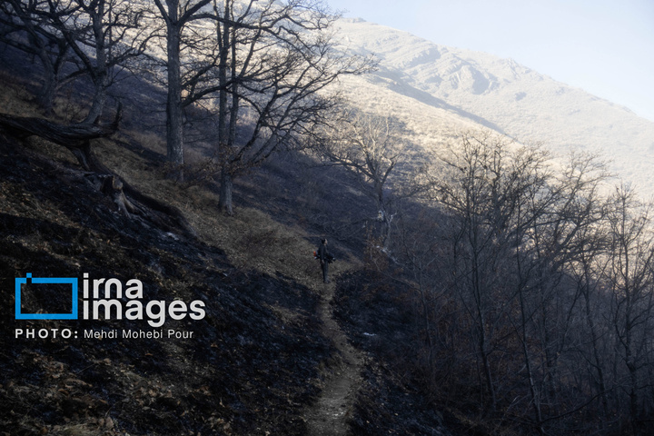 مهار آتش‌سوزی جنگل الیت