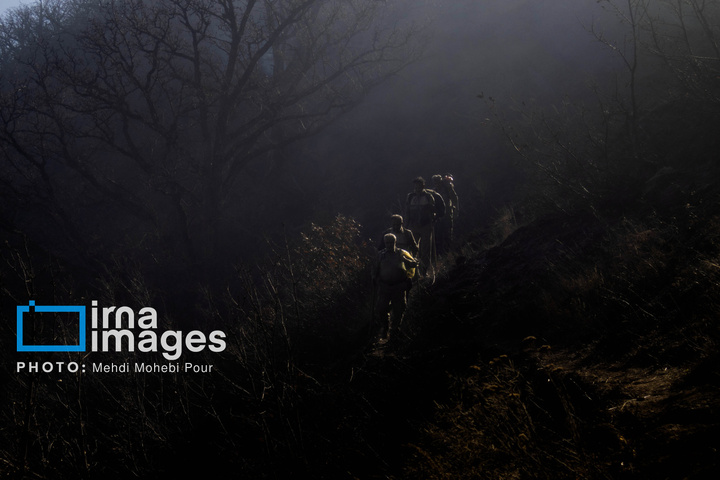 مهار آتش‌سوزی جنگل الیت