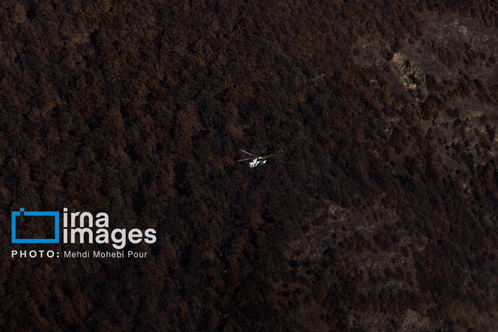 مهار آتش‌سوزی جنگل الیت