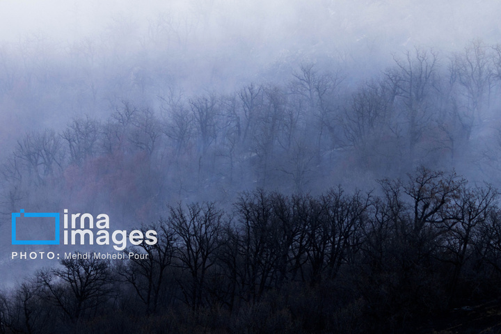 مهار آتش‌سوزی جنگل الیت