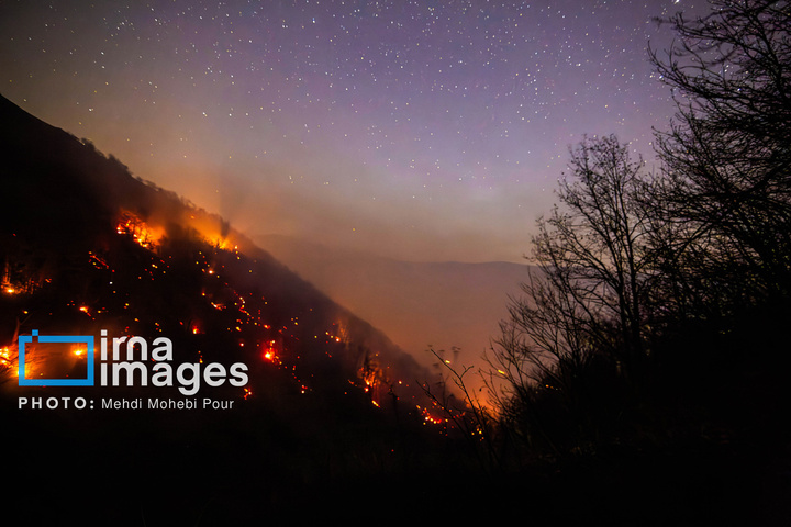 مهار آتش‌سوزی جنگل الیت