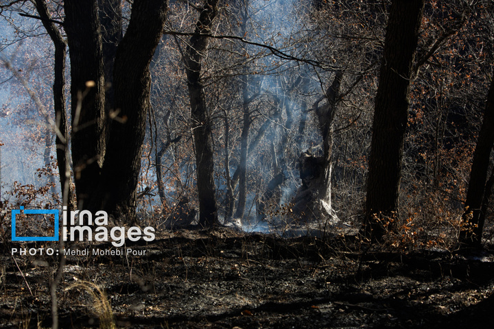 مهار آتش‌سوزی جنگل الیت