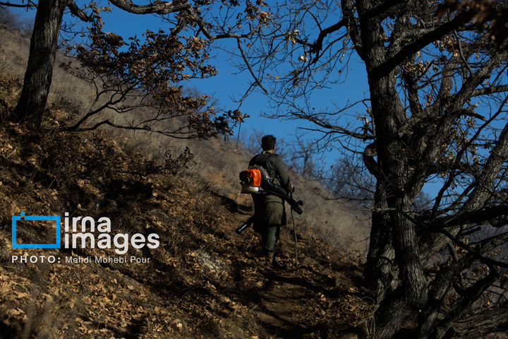 مهار آتش‌سوزی جنگل الیت