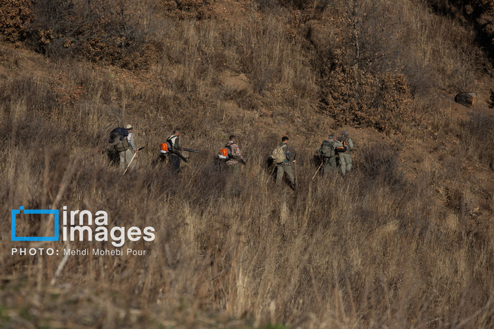 مهار آتش‌سوزی جنگل الیت