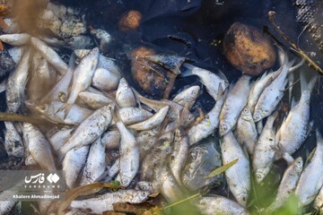 بحران زیست‌محیطی در گیلان، خزر در معرض خطر بحران اکولوژیک