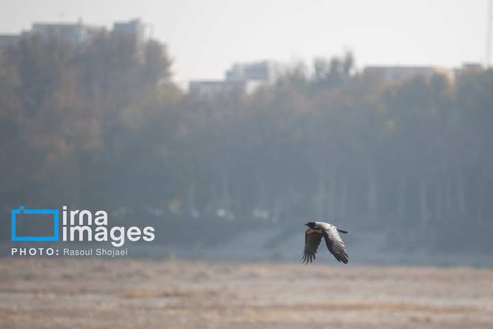 آلودگی هوای اصفهان