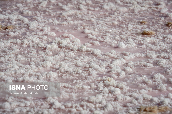 خشک شدن دریاچه مهارلو - شیراز