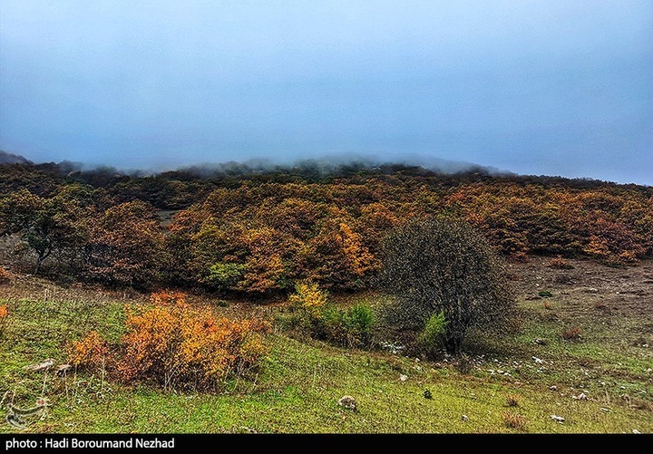 طبیعت پاییزی قره داغ - آذربایجان شرقی