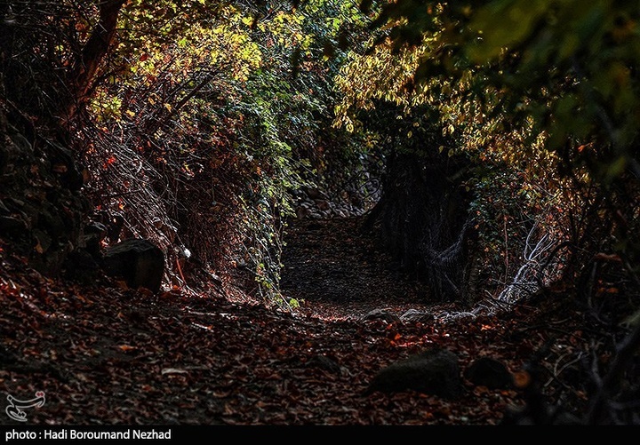 طبیعت پاییزی قره داغ - آذربایجان شرقی